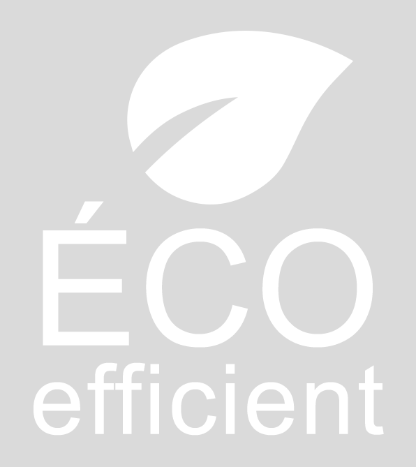 éco efficient